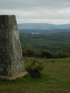 View from Woolbeding Common