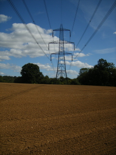 Field
