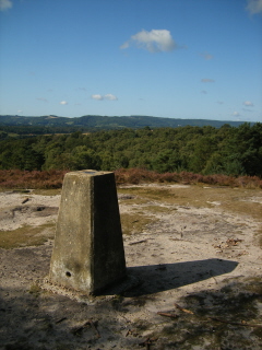 Hesworth Common