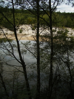 Midhurst Common