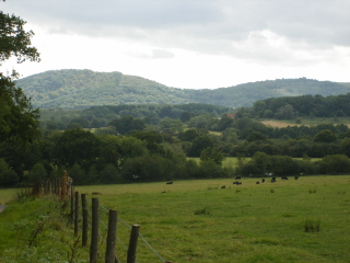 View of South Downs