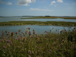 North Binness Island