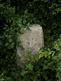 Trig point