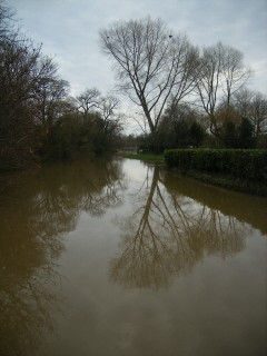 Pond, Barcombe Mills Barcombe Mills