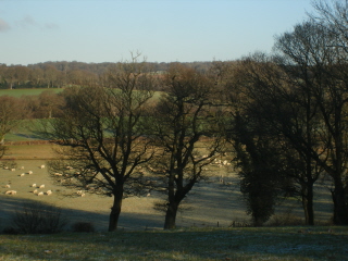 View from diverted path at Bigges Farm View, Bigges Farm