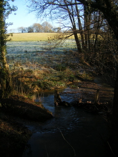 Stream between Staplefield and Nymans Stream