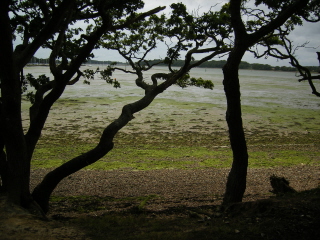 Chichester Channel