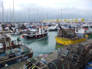 Brighton Marina