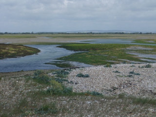 Pagham Harbour