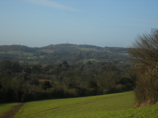Reigate Hill