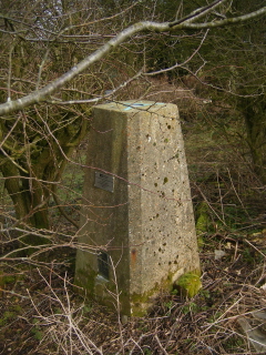 Trig point