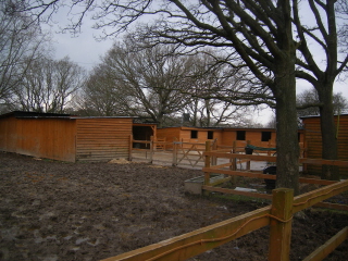 Stables