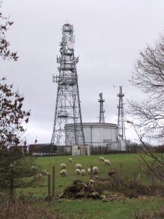 North Downs (top)