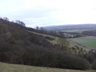 North Downs (scarp)