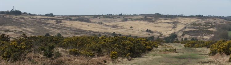 Panorama