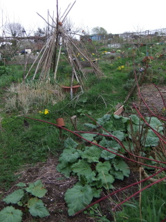 Allotments