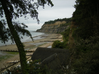 Cliffs beyond Shanklin Chine Shanklin Cliffs