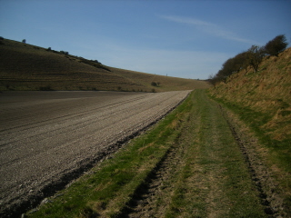 Falmer Bottom Falmer Bottom