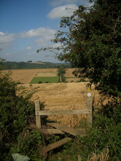 Lodge Hill Farm, West Dean Lodge Hill Farm