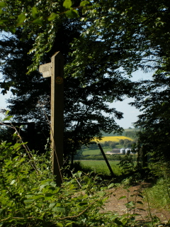 Where the Alternative South Downs Way leaves the Monarch's Way Divergence