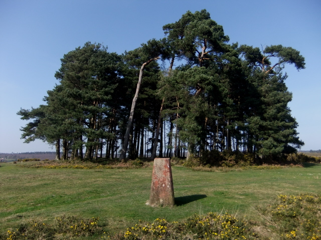 Camp Hill - trig point