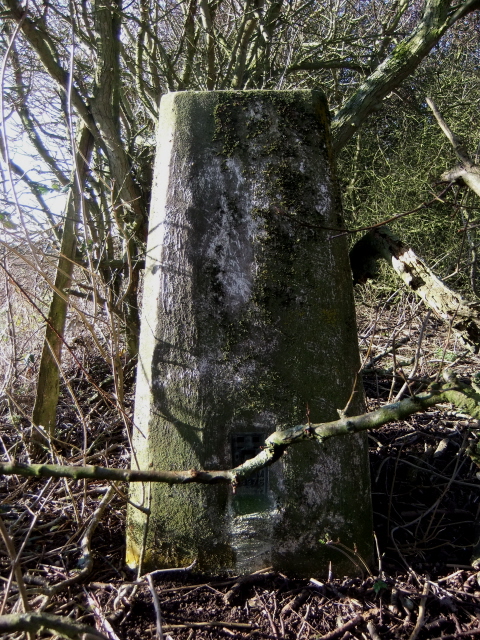 Camp Hill - trig point