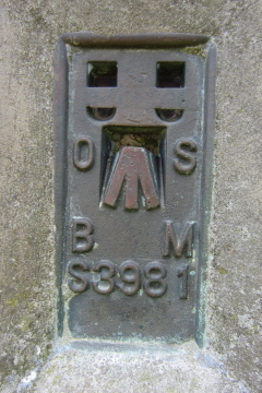 Haven Brow - flush bracket