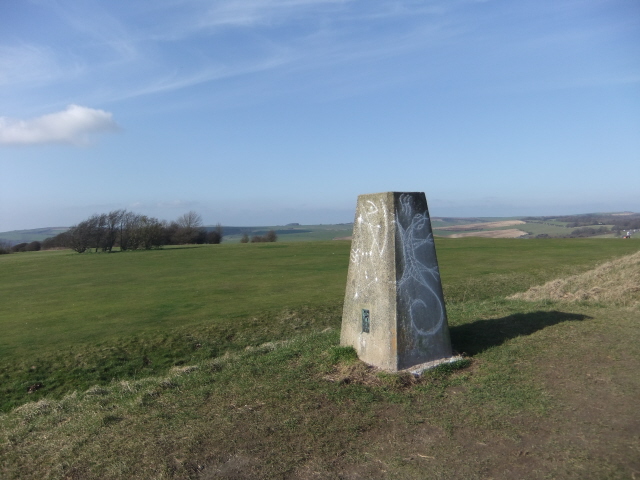 Hollingbury Castle - trig point