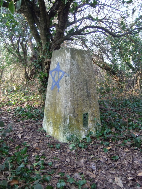 Meeching Down - trig point