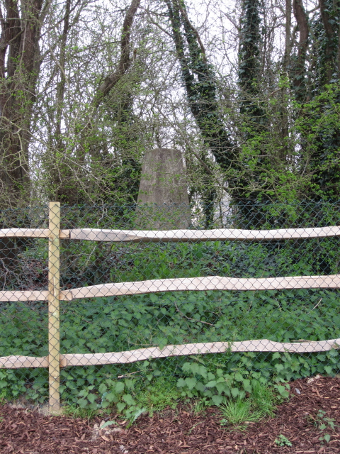 Ridgewood Hill - trig point