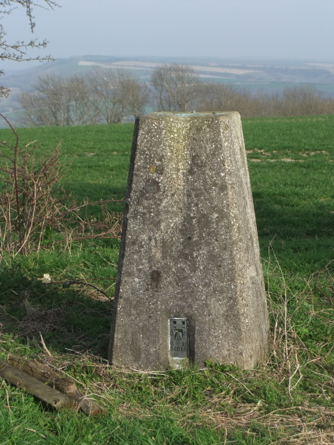 Bury Hill - trig point