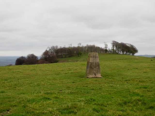 Chanctonbury Hill - trig point