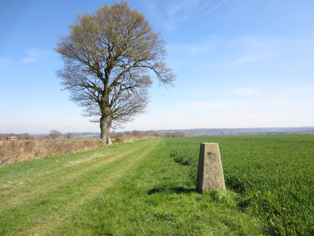 Withyham - trig point