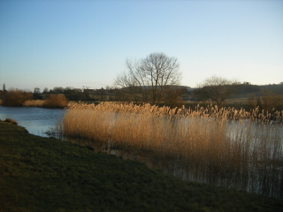 River Arun