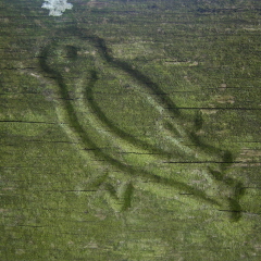 Waymark